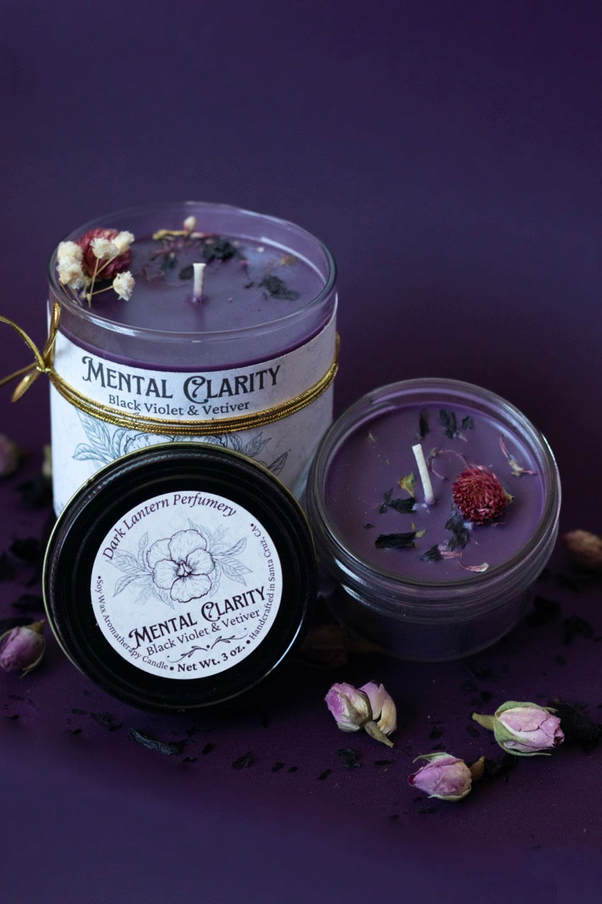 Mental Clarity • Black Violet & Vetiver