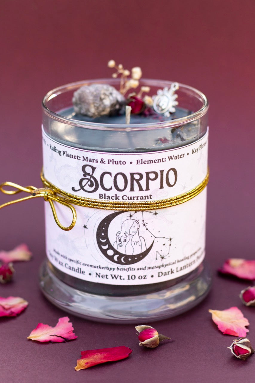 Scorpio • Black Currant