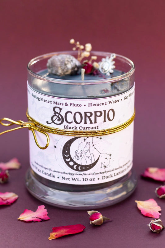 Scorpio • Black Currant