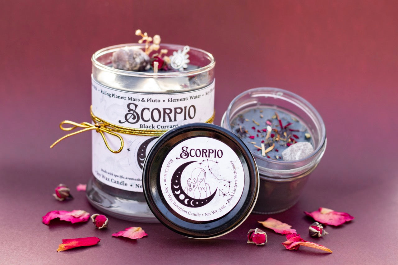 Scorpio • Black Currant