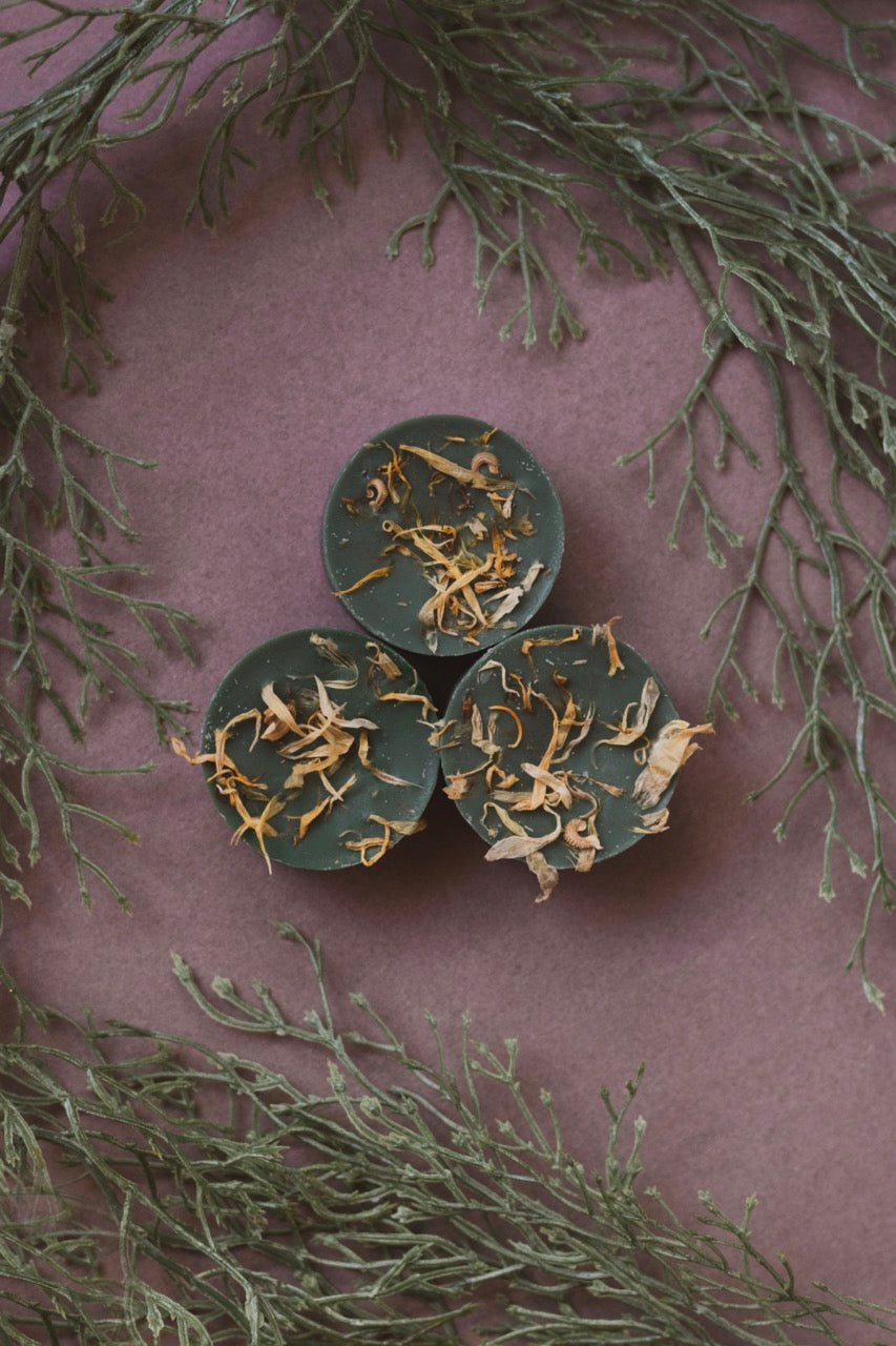 Aromatherapy Wax Melts