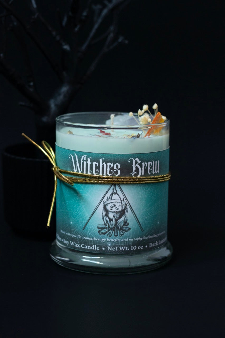 Witch's Brew • Mulled Cider