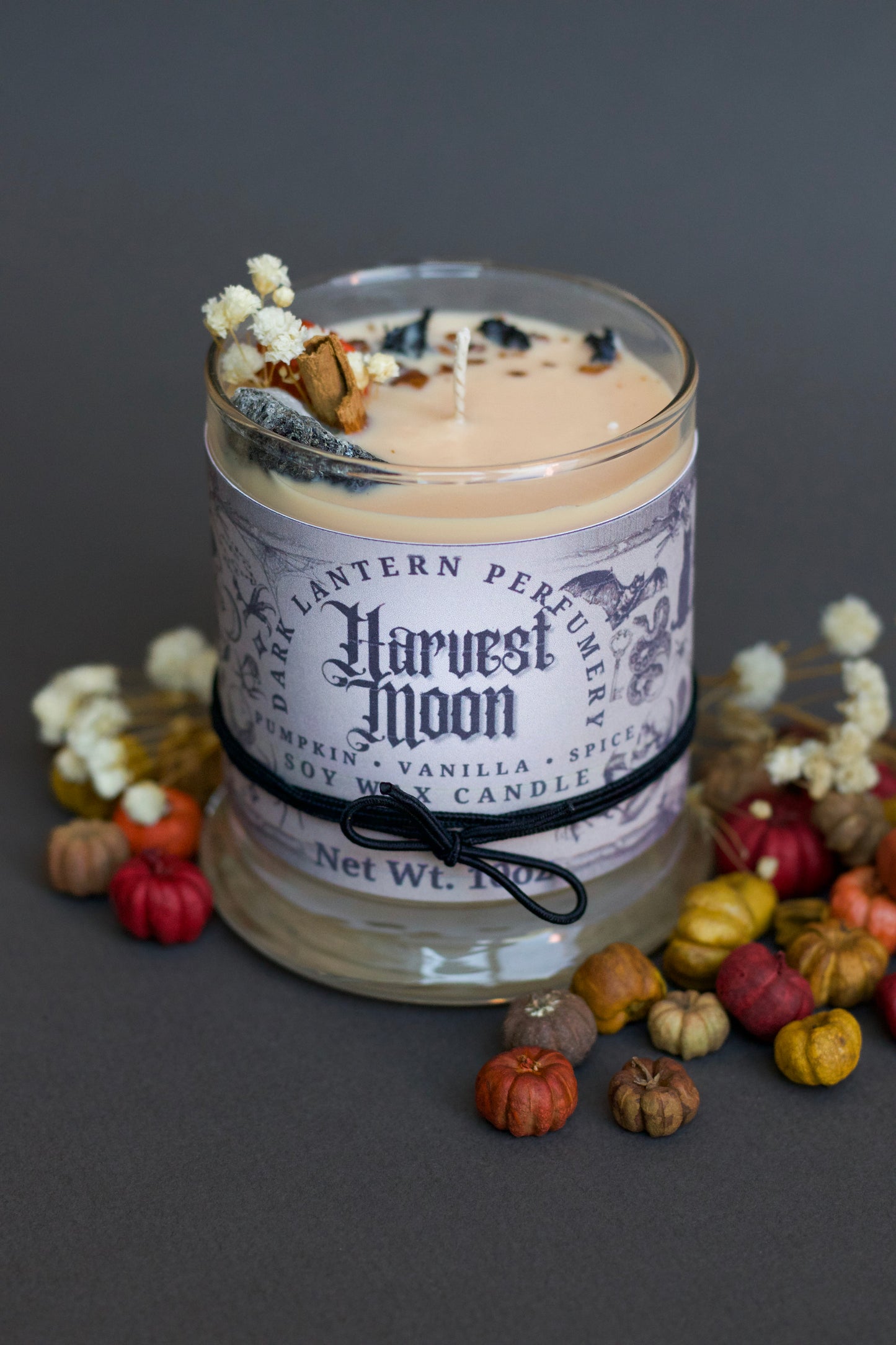 Harvest Moon • Pumpkin Spice