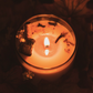 Harvest Moon • Pumpkin Spice
